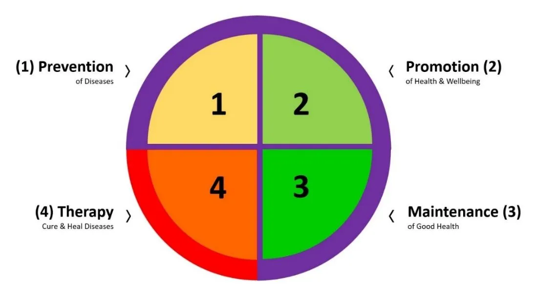 Figure 3. Four areas-of-action, balanced 3:1, to achieve lifelong health. Credit: ©Katharina Wirnitzer.
