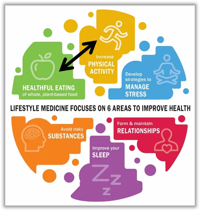 Figure 5. The Power of Lifestyle: Start with the dual HEAL approach across 6 interconnected areas to improve health and well-being. Credit: ©ACLM. Graphic modification: ©Katharina Wirnitzer (permission: 24.11.2021).